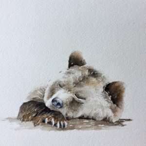 Watercolor Sleeping Bear