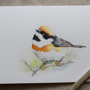 Orange Titmouse Bird Painted Card
