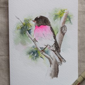 Pink Bird Card