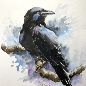 Raven Watercolor