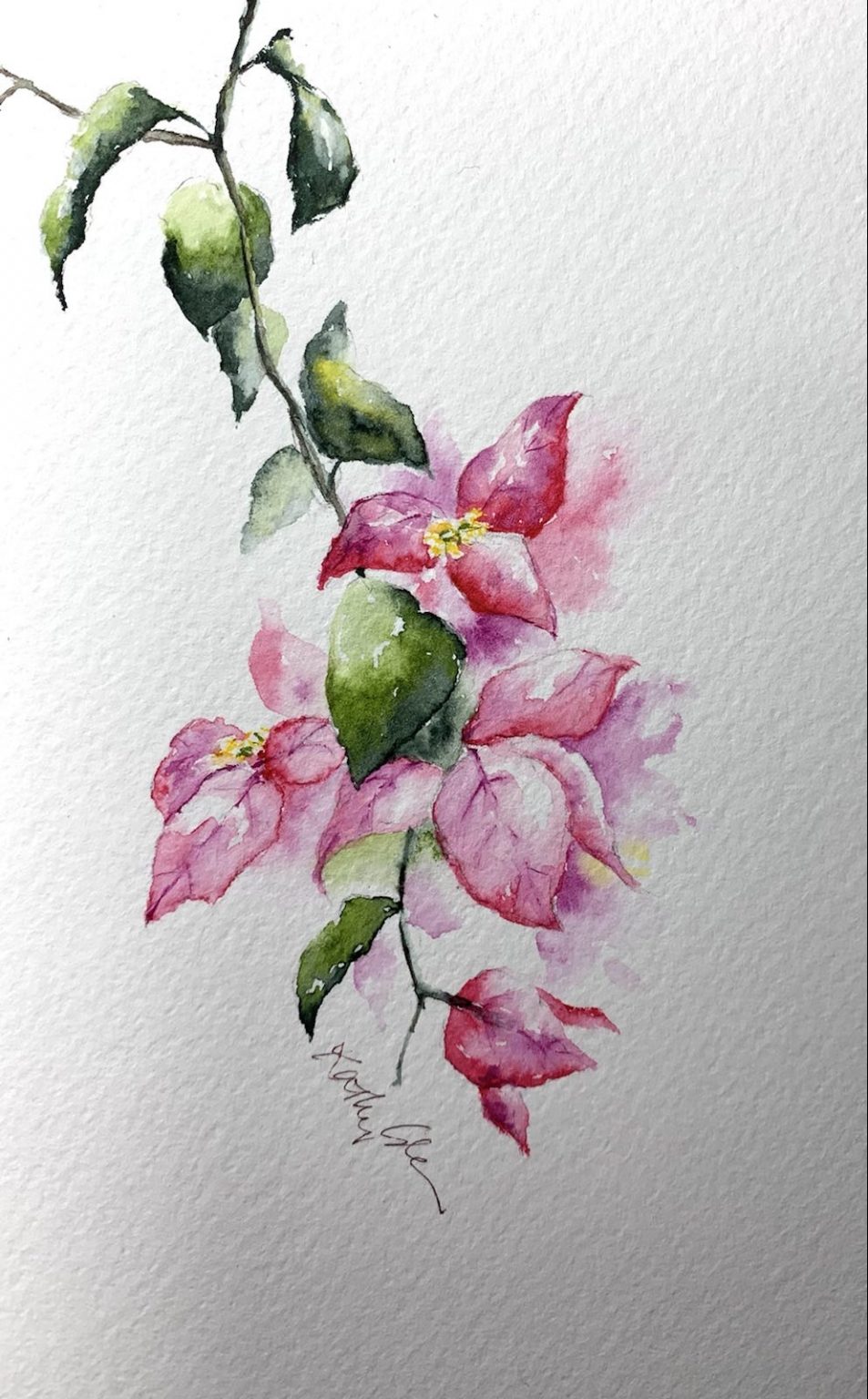 Watercolor bougainvilleas paint along tutorial demo – Sunset Peonies